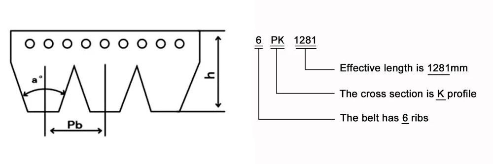 Poly PK 6PK Fan v-ribbed belt for Cummins engine